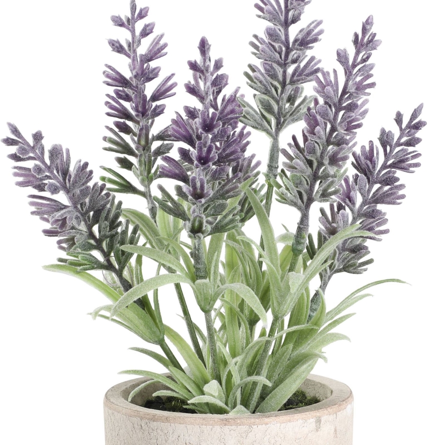 Eglo - Kunstplant in een bloempot 22x8 cm lavendel