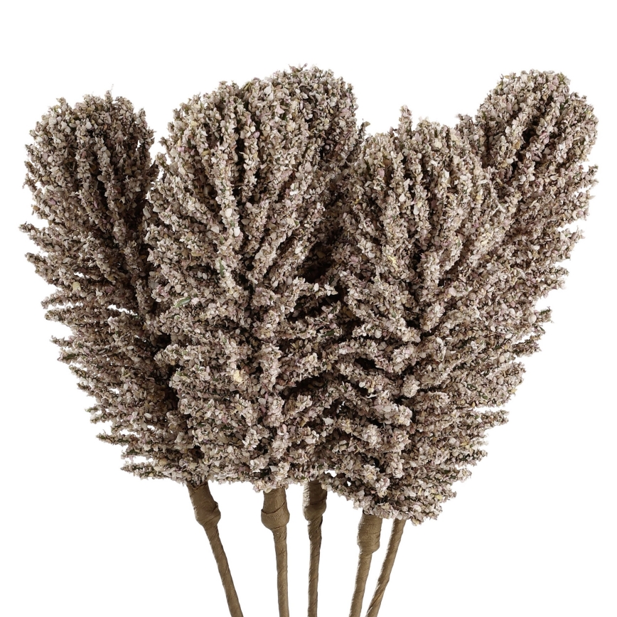 Eglo - Kunstbloem 30 cm beige