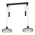 Eglo 43438 - Hanglamp met kabel WINKWORTH 2xE27/40W/230V