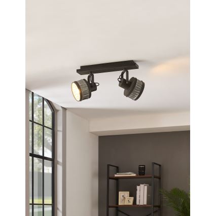 Eglo 43445 - Spotlamp TURROCK 2xE27/28W/230V