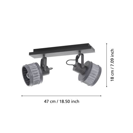 Eglo 43445 - Spotlamp TURROCK 2xE27/28W/230V
