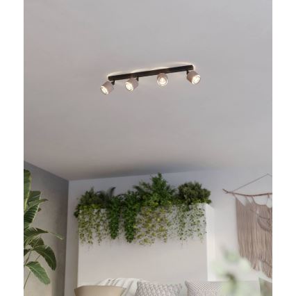 Eglo - Spot 4xE14/40W/230V zwart/beige