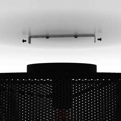 Eglo - Plafondlamp 1xE27/40W/230V