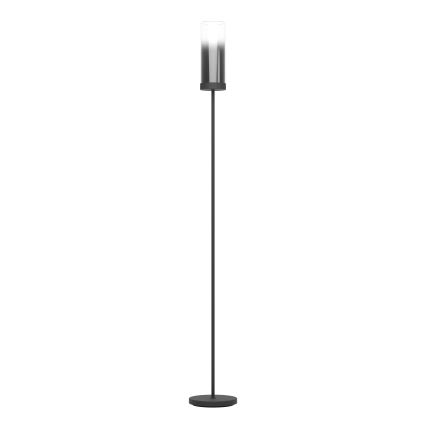 Eglo - Staande Lamp 1xE27/40W/230V zwart