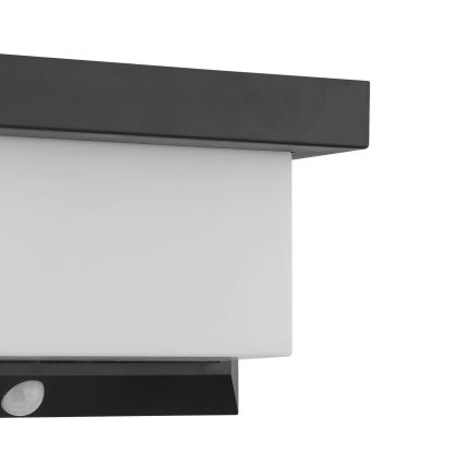 Eglo - LED Solar wandlamp met sensor LED/3,84W/3,7V 2000 mAh IP44