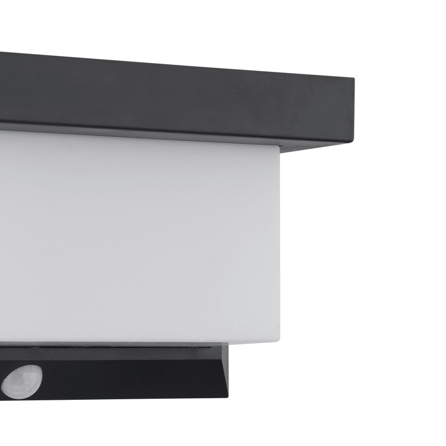 Eglo - LED Solar wandlamp met sensor LED/3,84W/3,7V 2000 mAh IP44