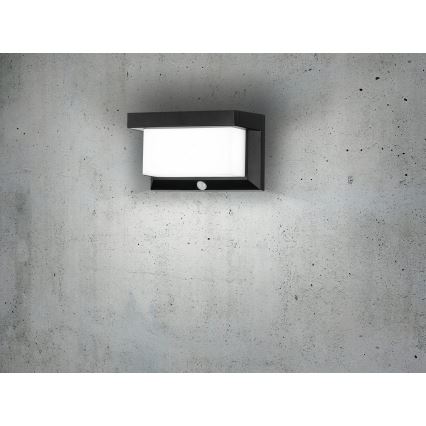 Eglo - LED Solar wandlamp met sensor LED/3,84W/3,7V 2000 mAh IP44
