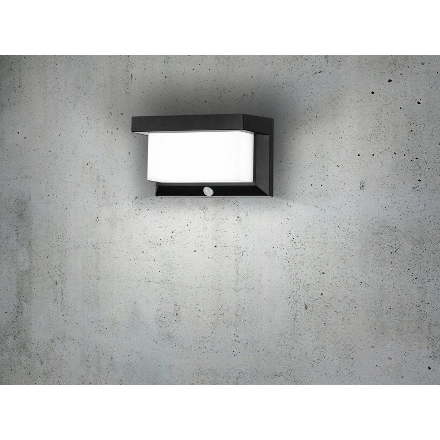 Eglo - LED Solar wandlamp met sensor LED/3,84W/3,7V 2000 mAh IP44