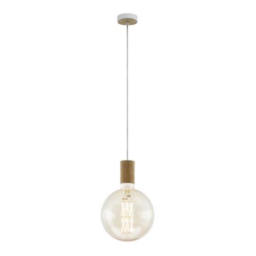 Eglo 49071 - Hanglamp aan koord TAVISTOCK 1xE27/40W/230V