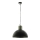 Eglo 49106 - Hanglamp aan ketting COLDRIDGE 1x E27 / 60W / 230V