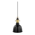 Eglo 49693 - Hanglamp GILWELL 1xE27/60W