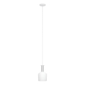 Eglo 62265 - Hanglamp aan een koord PASCOA PRO 1xE27/60W/230V 15,6 cm wit