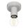 Eglo 64106 - Plafondlamp IGUALA 1xE27/40W/230V grijs