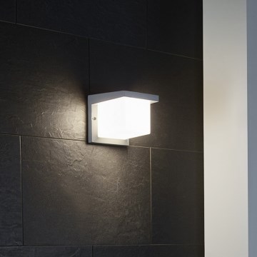 Eglo 65045 - LED Wandlamp voor buiten DESELLA PRO LED/10W/230V IP54 zilver