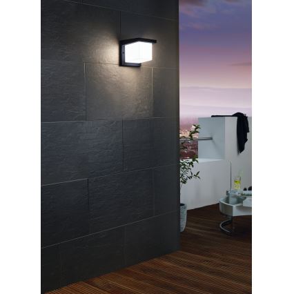 Eglo 65046 - LED Wandlamp voor buiten DESELLA PRO LED/10W/230V IP54 antraciet