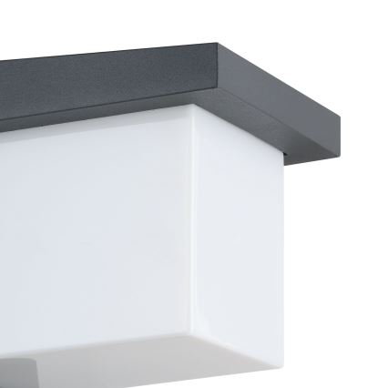 Eglo 65046 - LED Wandlamp voor buiten DESELLA PRO LED/10W/230V IP54 antraciet