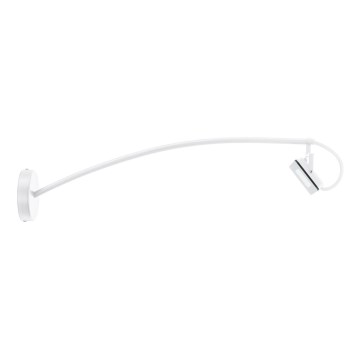 Eglo 66333 - LED Wandlamp voor buiten LIMIDARIO LED/30W/230V 3000K IP44 wit