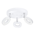 Eglo 75203 - LED Spot ODERZO 3xLED/3,8W/230V