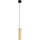 Eglo 79342 - Hanglamp aan een koord PINTO GOLD 1xE27/40W/230V goud
