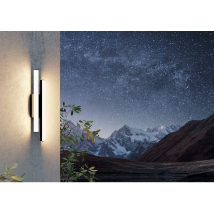 Eglo - LED Wandlamp voor buiten 2xLED/4,2W/230V IP55