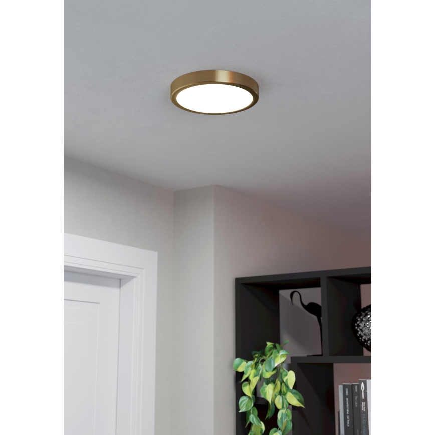 Eglo - LED-plafondlamp LED/17W/230V Ø 21 cm Ø 21 cm