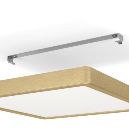 Eglo - LED plafondlamp LED/20,5W/230V