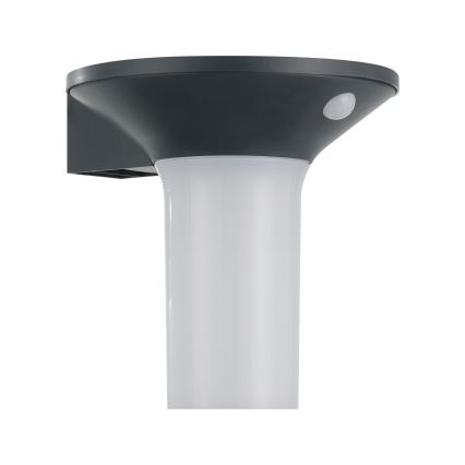 Eglo - LED solarlamp voor buiten met sensor 6xLED/0,03W/3,7V IP44