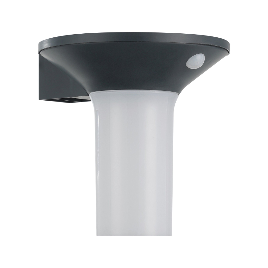 Eglo - LED solarlamp voor buiten met sensor 6xLED/0,03W/3,7V IP44