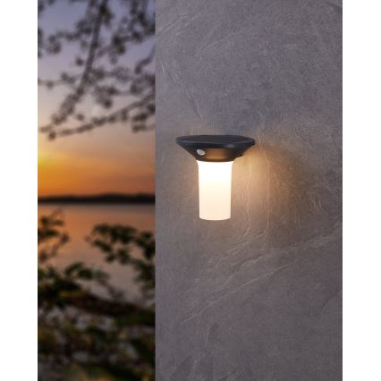 Eglo - LED solarlamp voor buiten met sensor 6xLED/0,03W/3,7V IP44