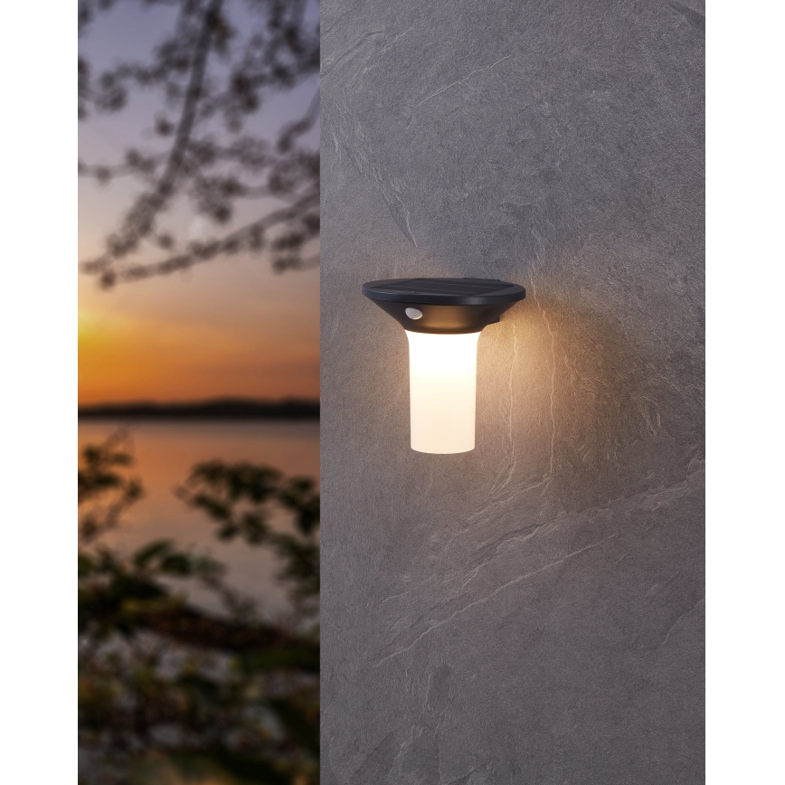 Eglo - LED solarlamp voor buiten met sensor 6xLED/0,03W/3,7V IP44
