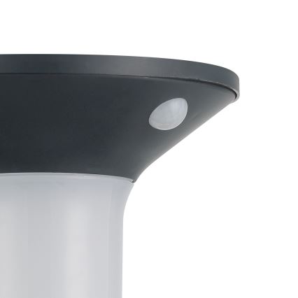 Eglo - LED solarlamp voor buiten met sensor 6xLED/0,03W/3,7V IP44