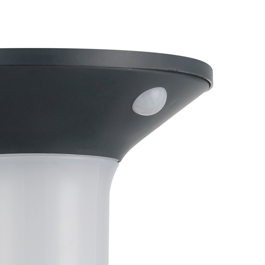 Eglo - LED solarlamp voor buiten met sensor 6xLED/0,03W/3,7V IP44