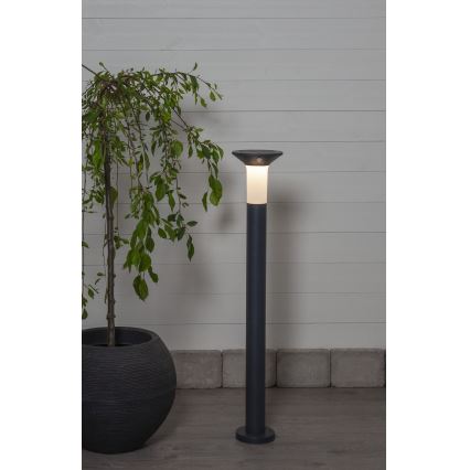 Eglo - Solar LED lamp met sensor voor buiten 6xLED/0,03W/3,7V 1500 mAh IP44