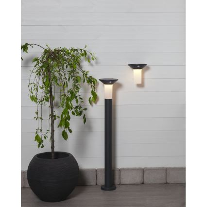 Eglo - Solar LED lamp met sensor voor buiten 6xLED/0,03W/3,7V 1500 mAh IP44