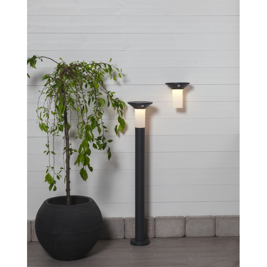 Eglo - Solar LED lamp met sensor voor buiten 6xLED/0,03W/3,7V 1500 mAh IP44
