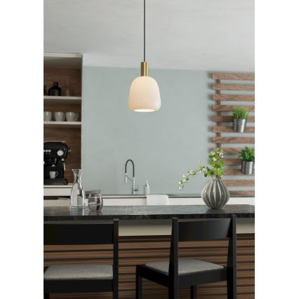 Eglo - Hanglamp aan kabel 1xE27/40W/230V