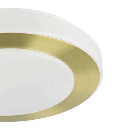 Eglo - LED Badkamer plafondlamp LED/10,8W/230V IP44