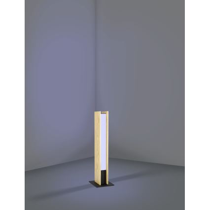 Eglo - LED RGBW Dimbaar tafellamp LED/16W/230V 2700-6500K
