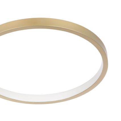 Eglo - LED Dimbare plafondlamp LED/15W/230V goud + afstandsbediening