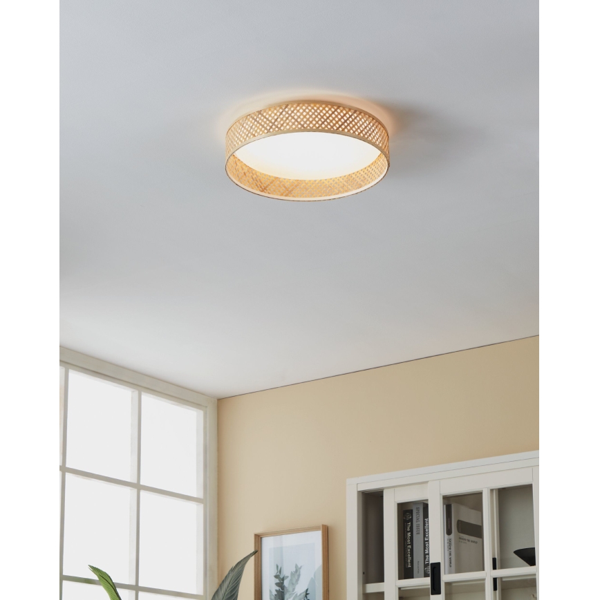 Eglo - LED Plafondlamp LED/24W/230V