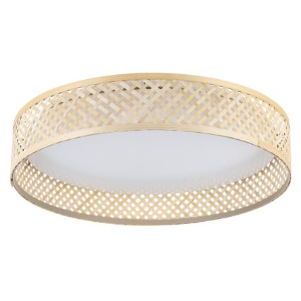Eglo - LED Plafondlamp LED/24W/230V