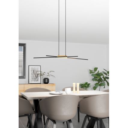 Eglo - LED dimbare hanglamp aan kabel 2xLED/13W/230V