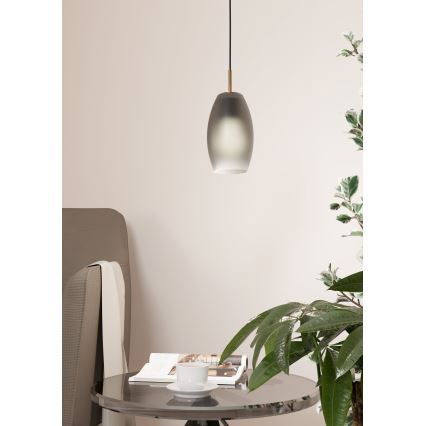 Eglo - Hanglamp aan een koord 1xE27/40W/230V