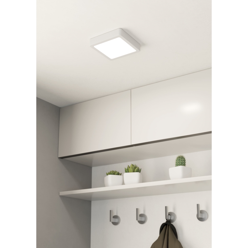 Eglo - LED Dimbaar Plafondlamp LED/11W/230V wit