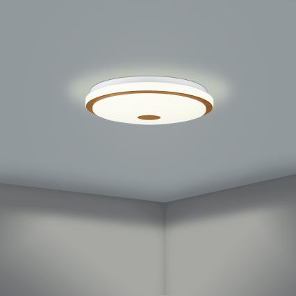 Eglo - LED Dimbare plafondlamp LED/24W/230V + afstandsbediening