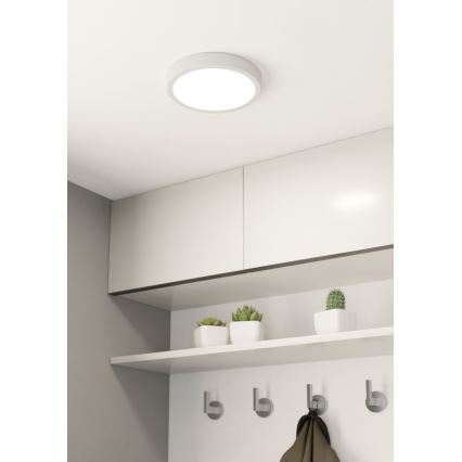 Eglo - LED Badkamer plafondlamp LED/17W/230V wit IP44