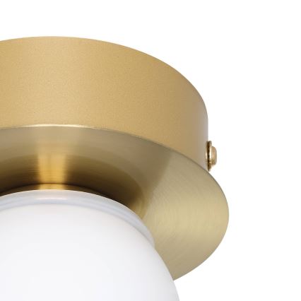 Eglo - LED Badkamer plafondlamp LED/3,3W/230V IP44 goud