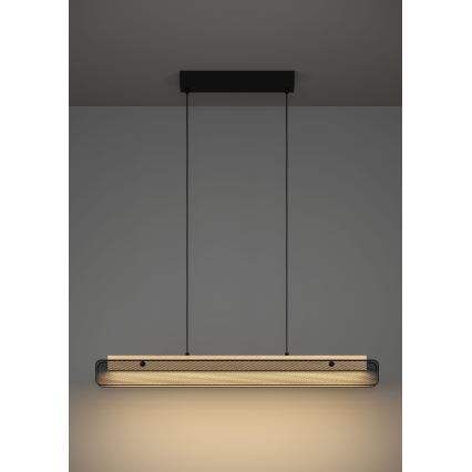 Eglo - LED RGBW Dimbare hanglamp aan een koord LED/34W/230V 2700-6500K