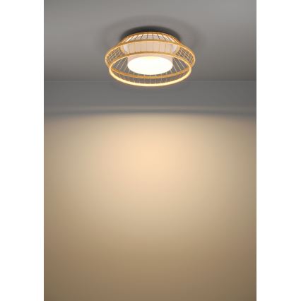 Eglo - LED RGBW Dimbare plafondlamp LED/22W/230V 2700-6500K