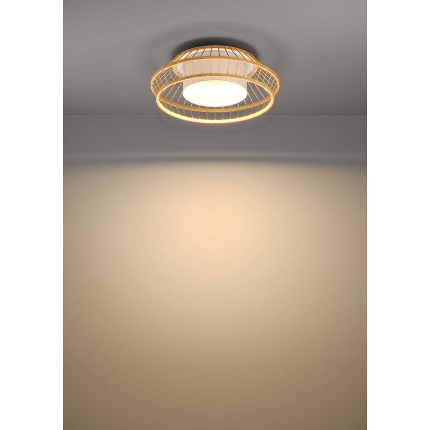 Eglo - LED RGBW Dimbare plafondlamp LED/22W/230V 2700-6500K